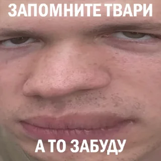 Sticker SVOY_NASHU-2 - 3