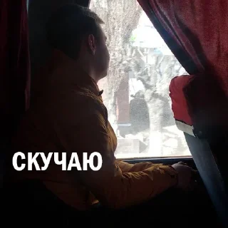 Sticker SVOY_NASHU-2 - 9