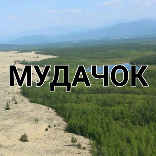 на открытом воздухе облако растение