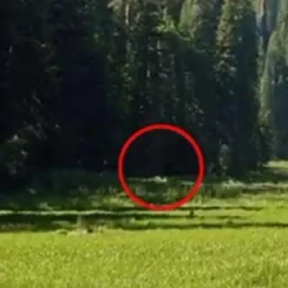 Sticker Шайлушаи 3.0 @Shailushay111 - 9