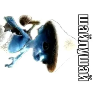 Sticker Шайлушаи 3.0 @Shailushay111 - 7