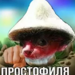 Sticker Шайлушаи 3.0 @Shailushay111 - 4