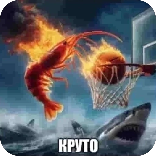 СМС баскетбол плакат