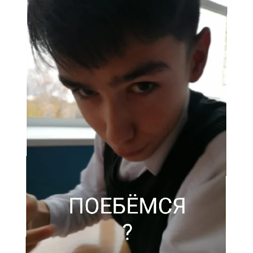 Sticker SHkulyary - 1