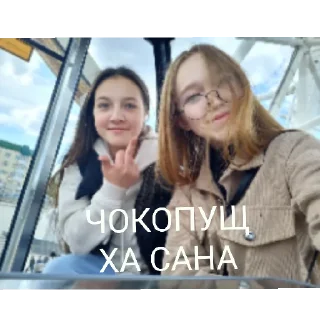 Стикер Шкуляры - 7