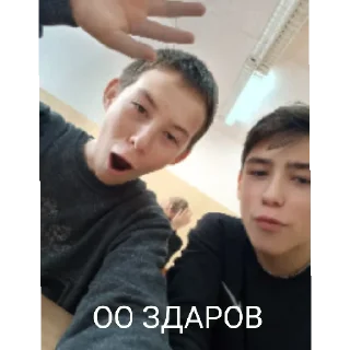 Стикер Шкуляры - 1