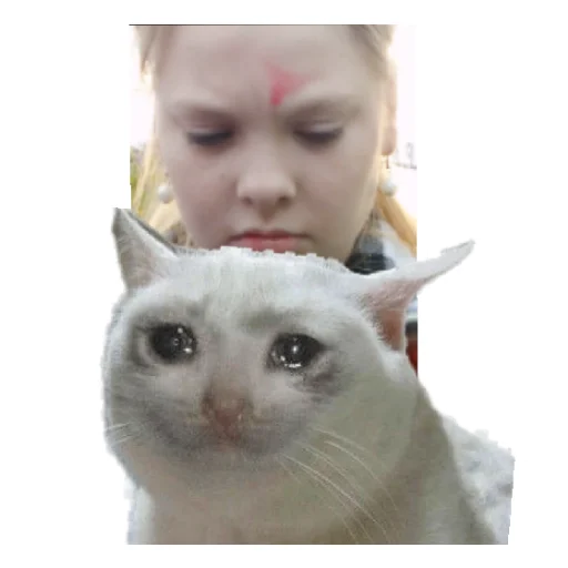 Sticker SHlyundra - 1