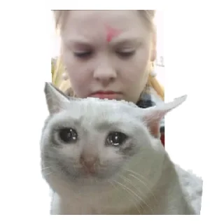 Sticker Шлюндра - 4