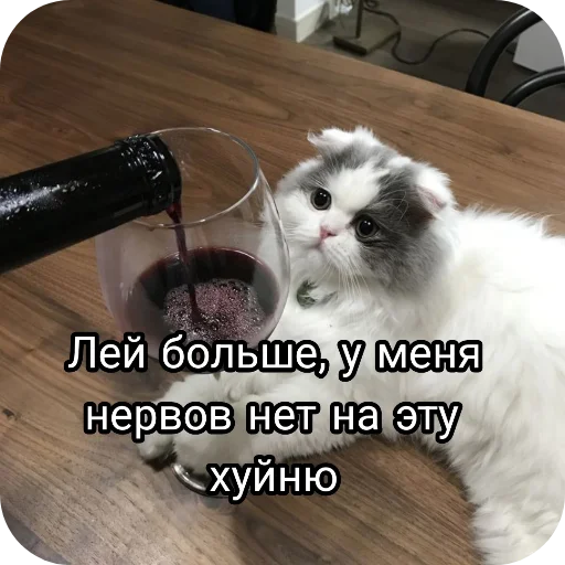 Sticker SHoToNadoNapisat - 1