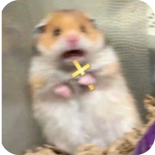 Будни в вампирах - 