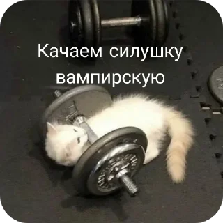 Стикер Будни в вампирах - 9