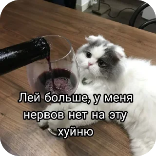 Стикер Будни в вампирах - 7