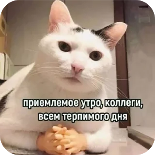 Стикер Будни в вампирах - 3