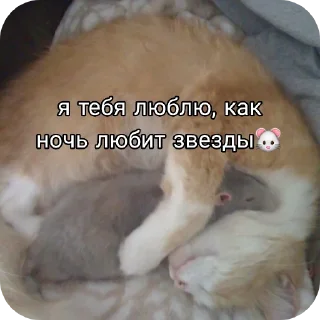 Стикер Будни в вампирах - 10