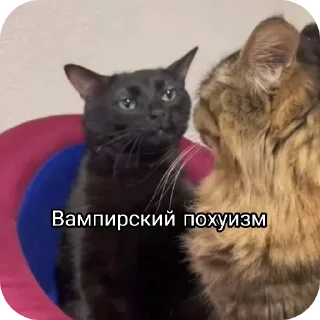 Стикер Будни в вампирах - 2