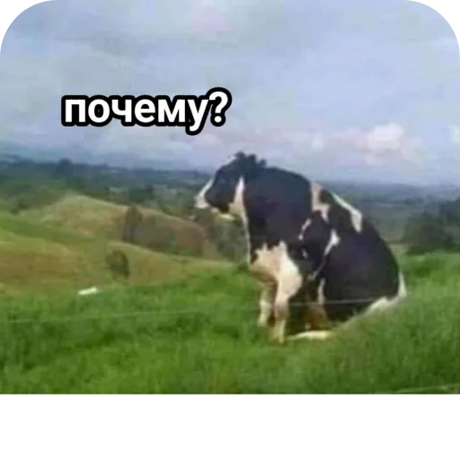 Стикер SHta46 - 1