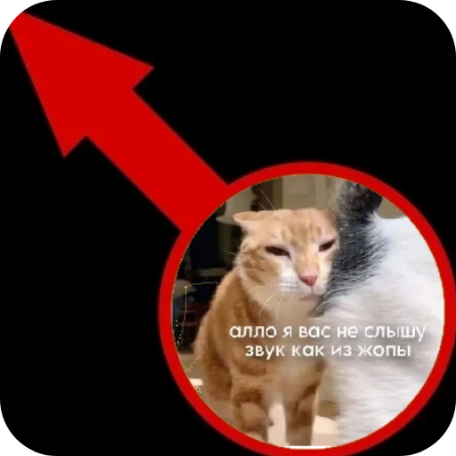 Sticker SHtaaaEhtaOn - 1