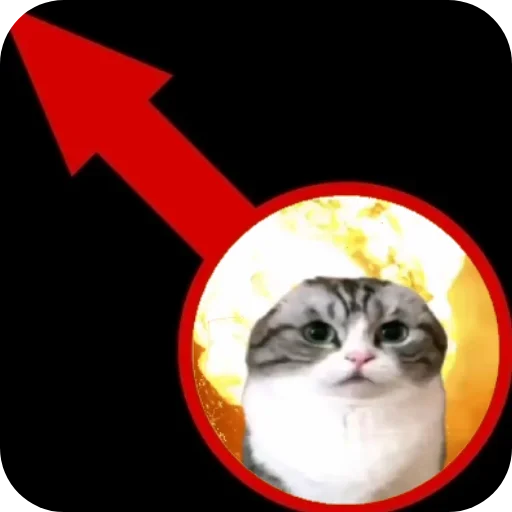 Sticker SHtaaaEhtaOn - 1