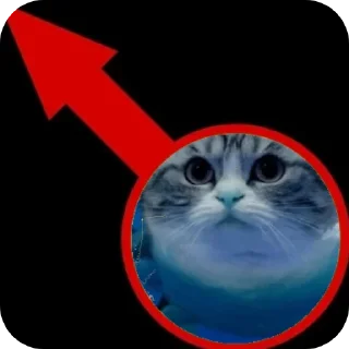 Sticker Штааа эта он😰😰😱 - 2