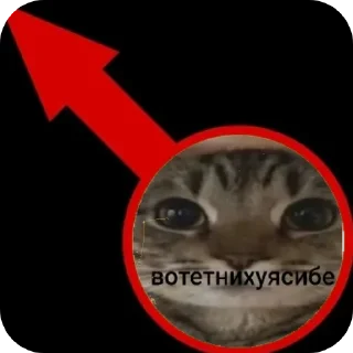 Sticker Штааа эта он😰😰😱 - 6