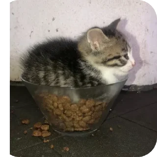 Стикер 🖤 - 3