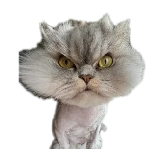 Стикер 🖤 - 8