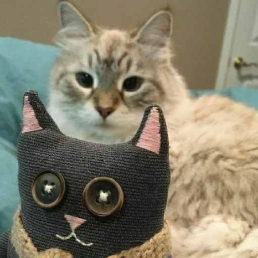 Sticker Шуты - 5