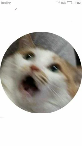 ☠️☠️☠️ @Tgthemesrobot - 