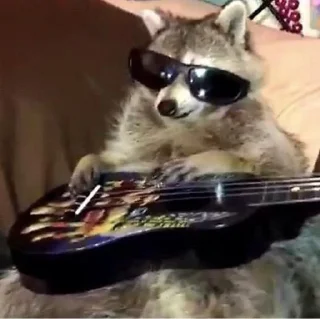 Стикер Еноты @Shrifty_textbot - 6