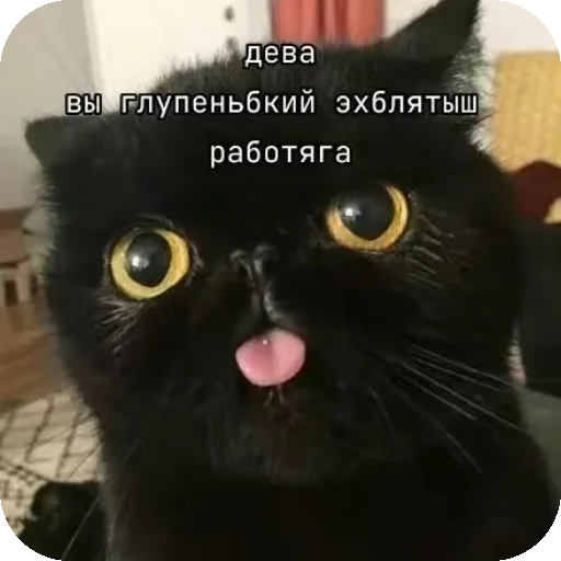 Sticker SIGMAMEJLY - 1