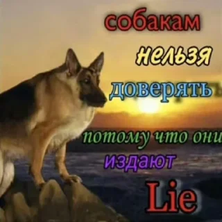 Стикер Больше стиков тут: @stikeryk - 4