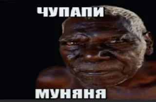 Sticker Пися попа член @Shrifty_textbot - 11