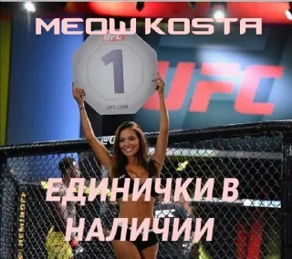 Стикер MEOW KOSTA @Shrifty_textbot - 11
