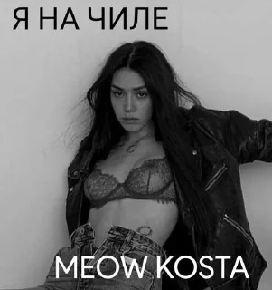 Стикер MEOW KOSTA @Shrifty_textbot - 5