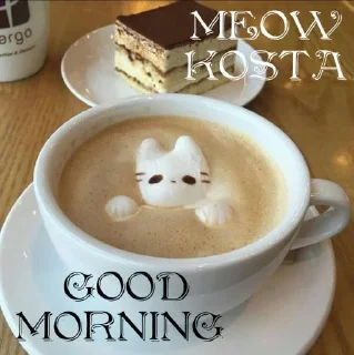 Стикер MEOW KOSTA @Shrifty_textbot - 1