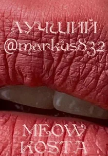 Стикер MEOW KOSTA @Shrifty_textbot - 10