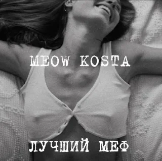 Стикер MEOW KOSTA @Shrifty_textbot - 9