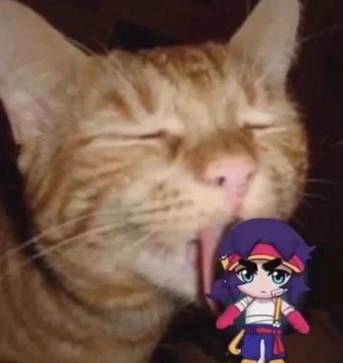 кошка млекопитающее животное