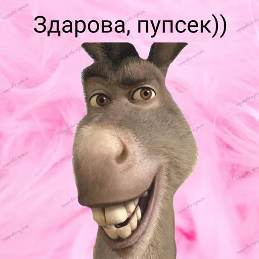 Какая-то фигня с чубриком (*•̀ᴗ•́*)و ̑̑ @Tgthemesrobot - 