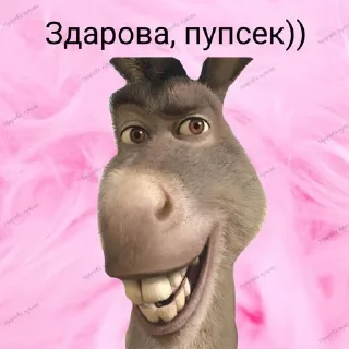 Sticker Какая-то фигня с чубриком (*•̀ᴗ•́*)و ̑̑ @Tgthemesrobot - 0