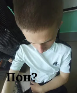 Sticker Поооон😭 @Themki_robot - 4