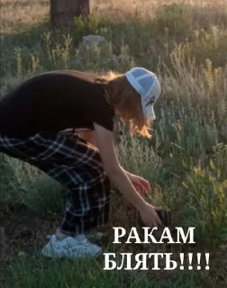 Sticker Поооон😭 @Themki_robot - 2