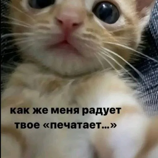 Хз ваще @Themki_robot - 