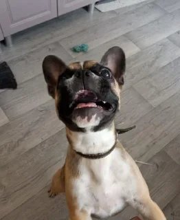 Стикер Хз ваще @Themki_robot - 1