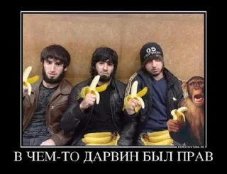 Стикер Чурки мемы @Tgthemstickbot - 9