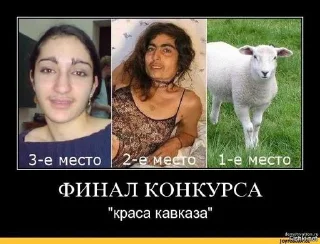 Стикер Чурки мемы @Tgthemstickbot - 8