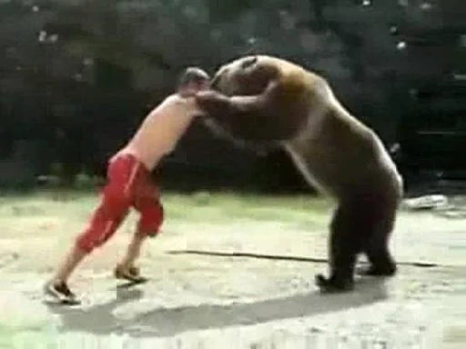 no bitches? @Stikerhi_bot - 