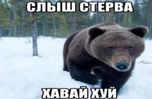 Sticker SKHhps32y5_by_Stikerhi_bot - 1