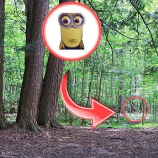 Стикер no bitches? @Stikerhi_bot - 11