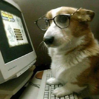 Стикер no bitches? @Stikerhi_bot - 9